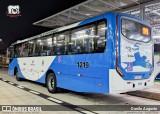 VB Transportes e Turismo 1219 na cidade de Campinas, São Paulo, Brasil, por Danilo Augusto. Número da foto: #12236419.