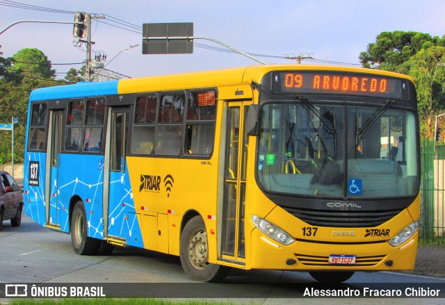 Sharp Transportes 137 na cidade de Araucária, Paraná, Brasil, por Alessandro Fracaro Chibior. Número da foto: #12238850.