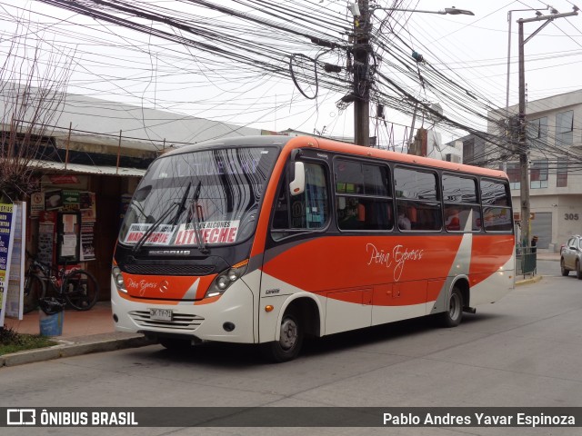 Peña Express 71 na cidade de Santa Cruz, Colchagua, Libertador General Bernardo O'Higgins, Chile, por Pablo Andres Yavar Espinoza. Número da foto: #12240087.