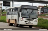 Construtora e Dragagem Paraopeba OB-349 na cidade de Belo Horizonte, Minas Gerais, Brasil, por Rodrigo Barraza. Número da foto: #12239785.