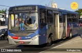 Transportes Capellini 32.062 na cidade de Campinas, São Paulo, Brasil, por Wellington Lima. Número da foto: #12241184.