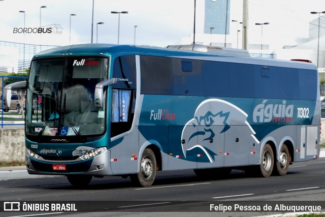 Águia Turismo 11302 na cidade de Caruaru, Pernambuco, Brasil, por Felipe Pessoa de Albuquerque. Número da foto: #12244815.