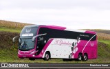 A Gladiadora Turismo 3232 na cidade de Ourinhos, São Paulo, Brasil, por Francisco Ivano. Número da foto: #12245136.