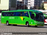 Pássaro Verde 16910 na cidade de Divinópolis, Minas Gerais, Brasil, por Pedro Henrique. Número da foto: #:id.