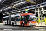 TRANSPPASS - Transporte de Passageiros 8 1945 na cidade de São Paulo, São Paulo, Brasil, por Ricardo Luiz. Número da foto: #12244431.