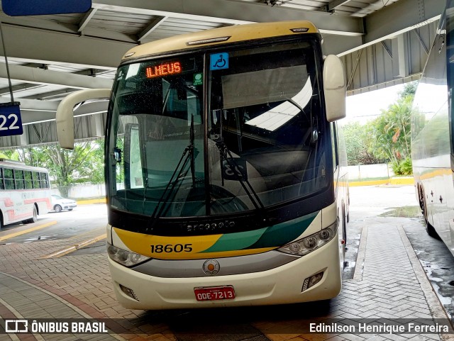 Empresa Gontijo de Transportes 18605 na cidade de Resende, Rio de Janeiro, Brasil, por Edinilson Henrique Ferreira. Número da foto: #12245722.