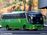 Pássaro Verde 23184 na cidade de Ponte Nova, Minas Gerais, Brasil, por Davi Neves. Número da foto: #12246906.