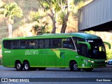 Pássaro Verde 19146 na cidade de Ponte Nova, Minas Gerais, Brasil, por Davi Neves. Número da foto: #12246841.