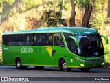 Pássaro Verde 16911 na cidade de Ponte Nova, Minas Gerais, Brasil, por Davi Neves. Número da foto: #12246847.
