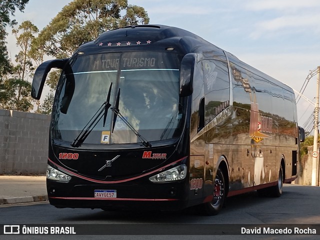 Muralha Tour Transportes e Turismo 1200 na cidade de Cotia, São Paulo, Brasil, por David Macedo Rocha. Número da foto: #12247281.