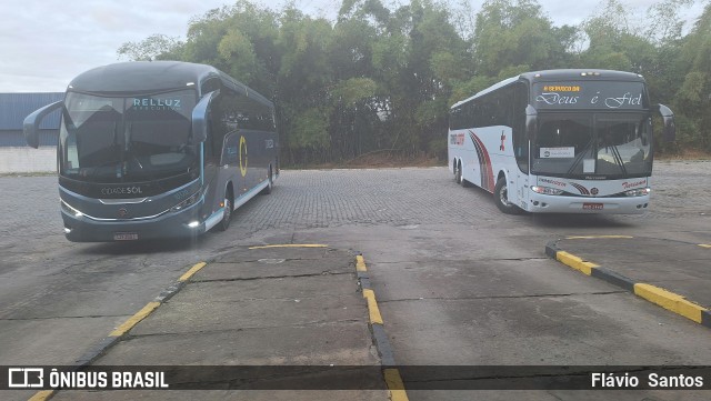 Viação Cidade Sol 10320 na cidade de Cruz das Almas, Bahia, Brasil, por Flávio  Santos. Número da foto: #12247921.