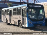 Princesinha do Vale 222314 na cidade de Resende, Rio de Janeiro, Brasil, por Luiz Eduardo Lopes da Silva. Número da foto: #12247654.