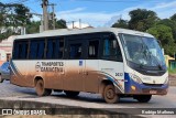 Transportes Damacena 2022 na cidade de Santa Bárbara, Minas Gerais, Brasil, por Rodrigo Matheus. Número da foto: #12248439.