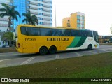 Empresa Gontijo de Transportes 17065 na cidade de Ipatinga, Minas Gerais, Brasil, por Celso ROTA381. Número da foto: #12247524.