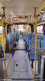 Transportes Capellini 23019 na cidade de Hortolândia, São Paulo, Brasil, por Busologia Gabrielística. Número da foto: #12249144.