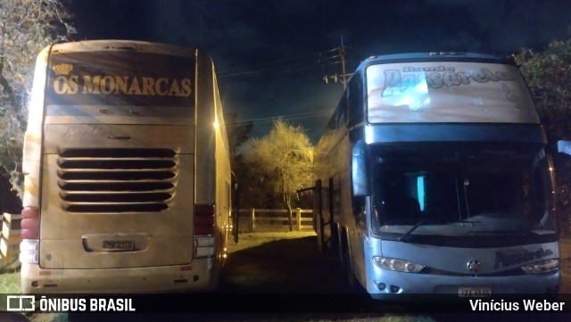 Os Monarcas  na cidade de Novo Hamburgo, Rio Grande do Sul, Brasil, por Vinícius Weber. Número da foto: #12251025.