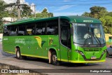 Pássaro Verde 20177 na cidade de Santa Bárbara, Minas Gerais, Brasil, por Rodrigo Matheus. Número da foto: #12250601.