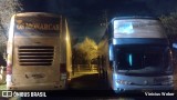 Os Monarcas  na cidade de Novo Hamburgo, Rio Grande do Sul, Brasil, por Vinícius Weber. Número da foto: #12251025.