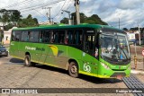 Pássaro Verde 15122 na cidade de Santa Bárbara, Minas Gerais, Brasil, por Rodrigo Matheus. Número da foto: #12250469.