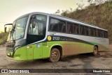 Turin Transportes 2133 na cidade de Conselheiro Lafaiete, Minas Gerais, Brasil, por Eduardo Vieira. Número da foto: #12253203.