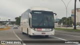 Borborema Imperial Transportes 2401 na cidade de Recife, Pernambuco, Brasil, por Andress Limeira. Número da foto: #:id.