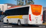 Flecha Amarilla 514 na cidade de Morelia, Michoacán, México, por Fabián Reyes. Número da foto: #12252632.