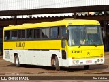 Japiaçu 023 na cidade de Peritoró, Maranhão, Brasil, por Tôni Cristian. Número da foto: #12254163.