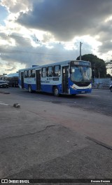 Autoviária Paraense AV-93911 na cidade de Ananindeua, Pará, Brasil, por Bezerra Bezerra. Número da foto: #:id.