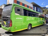 Pássaro Verde 23184 na cidade de Manhuaçu, Minas Gerais, Brasil, por Paulo Eller. Número da foto: #12253579.