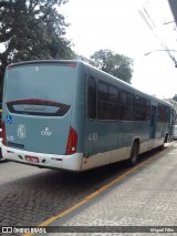Laranjal Transportes 410 na cidade de Pelotas, Rio Grande do Sul, Brasil, por Miguel Filho. Número da foto: #12253359.