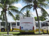 Transportes Guanabara 307 na cidade de São Gonçalo do Amarante, Rio Grande do Norte, Brasil, por John Herbert. Número da foto: #12253021.