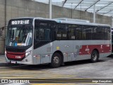 Auto Viação Transcap >> Auto Bless Transportes 8 5290 na cidade de São Paulo, São Paulo, Brasil, por Jorge Gonçalves. Número da foto: #12253372.