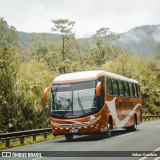 Caribeños LB2030 na cidade de San José, Costa Rica, por Sebas Gamboa. Número da foto: #12253545.