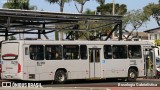 Auto Viação São José dos Pinhais EL319 na cidade de Curitiba, Paraná, Brasil, por Busologia Gabrielística. Número da foto: #12254686.
