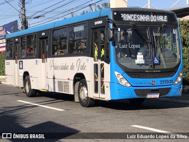 Princesinha do Vale 222301 na cidade de Resende, Rio de Janeiro, Brasil, por Luiz Eduardo Lopes da Silva. Número da foto: #12255900.