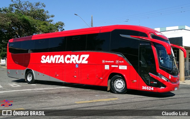 Viação Santa Cruz 36524 na cidade de Três Corações, Minas Gerais, Brasil, por Claudio Luiz. Número da foto: #12258827.
