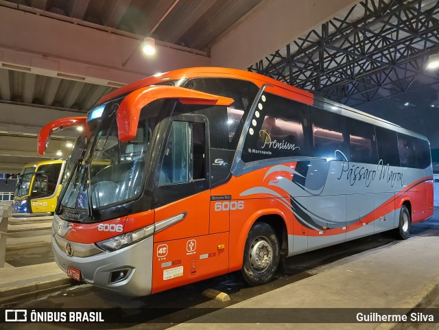 Empresa de Ônibus Pássaro Marron 6006 na cidade de Santos, São Paulo, Brasil, por Guilherme Silva. Número da foto: #12255874.