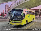Pássaro Verde 24185 na cidade de Belo Horizonte, Minas Gerais, Brasil, por Pedro Henrique VM. Número da foto: #12256149.