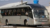 Transporte Coletivo Glória BL315 na cidade de Curitiba, Paraná, Brasil, por Busologia Gabrielística. Número da foto: #12256839.