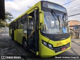 Empresa de Transportes e Turismo Carapicuiba 206 na cidade de Santana de Parnaíba, São Paulo, Brasil, por Eduardo Yoshiharu Onaga Mi. Número da foto: #12255832.