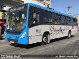 Princesinha do Vale 222302 na cidade de Resende, Rio de Janeiro, Brasil, por Luiz Eduardo Lopes da Silva. Número da foto: #12257064.