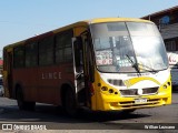 Lince 22 na cidade de Asunción, Paraguai, por Willian Lezcano. Número da foto: #12258840.