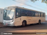 Grupo Gold Fretamento 118 na cidade de Campo Grande, Mato Grosso do Sul, Brasil, por PAULO MARINHO. Número da foto: #:id.