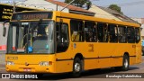 Transporte Coletivo Glória BC309 na cidade de Curitiba, Paraná, Brasil, por Busologia Gabrielística. Número da foto: #12256848.