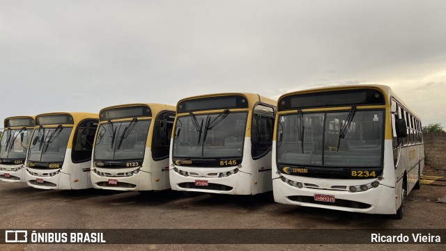 CT Expresso 8234 na cidade de Luziânia, Goiás, Brasil, por Ricardo Vieira. Número da foto: #12260949.