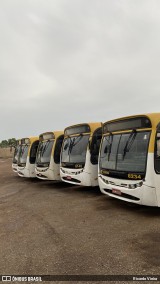 CT Expresso 8234 na cidade de Luziânia, Goiás, Brasil, por Ricardo Vieira. Número da foto: #12260947.