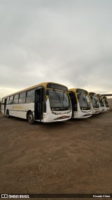 CT Expresso 8201 na cidade de Luziânia, Goiás, Brasil, por Ricardo Vieira. Número da foto: #12260952.