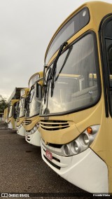 Lotaxi Transportes Urbanos 24791 na cidade de Luiziânia, São Paulo, Brasil, por Ricardo Vieira. Número da foto: #12261050.