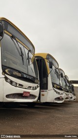 CT Expresso 8201 na cidade de Luziânia, Goiás, Brasil, por Ricardo Vieira. Número da foto: #12260964.