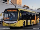 Viação Pioneira 226289 na cidade de Brasília, Distrito Federal, Brasil, por Gabriel Rocha. Número da foto: #12259435.